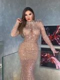 Mermaid Nude Shimmering Dress