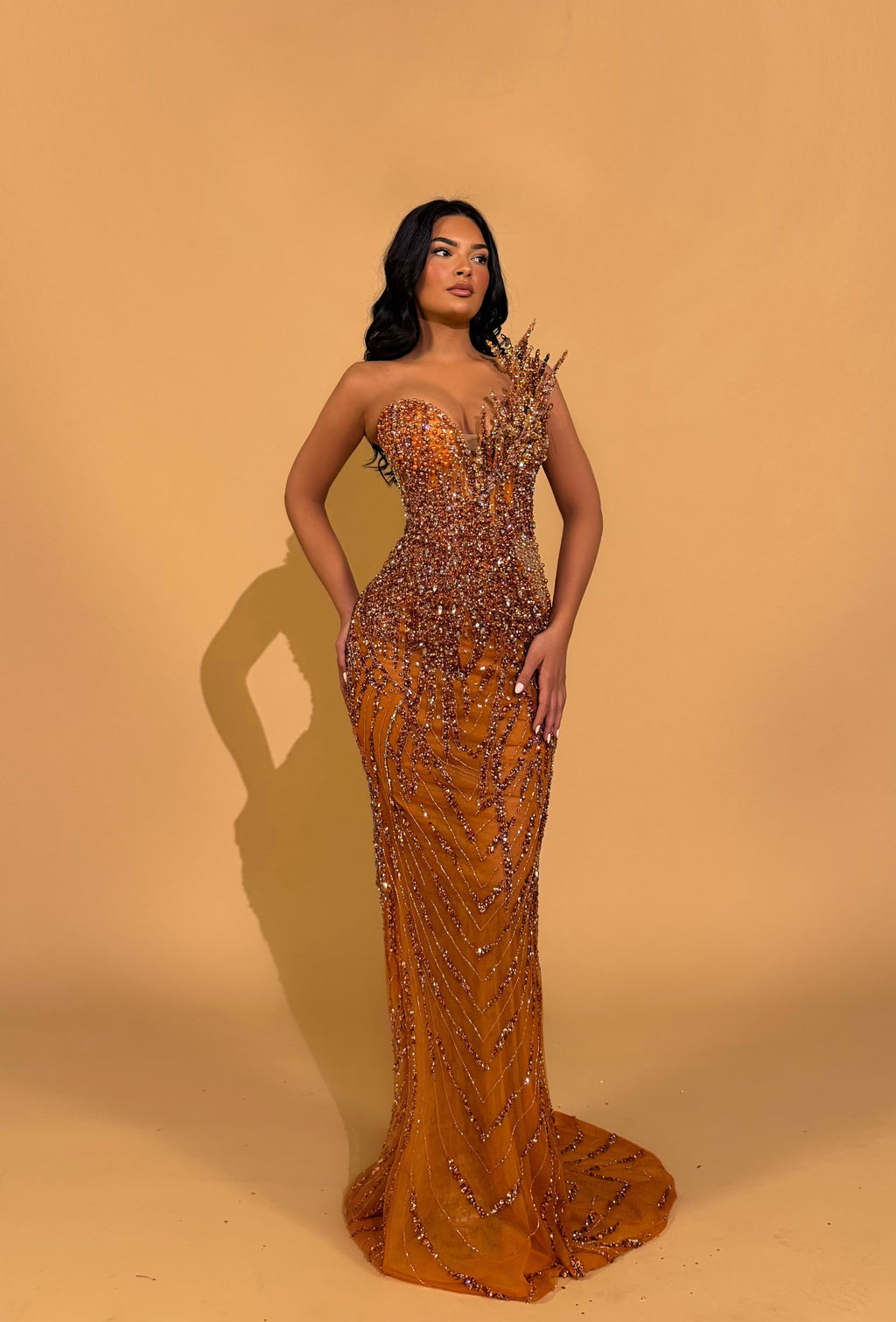 Amber Crystal Embellished Strapless Gown