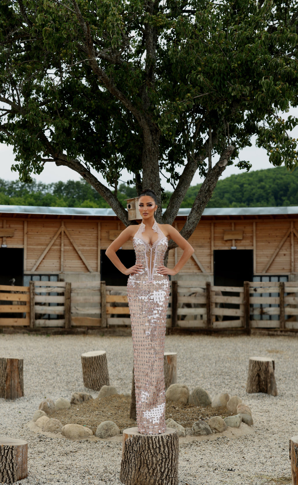 Nelia - Mirror Halter Gown