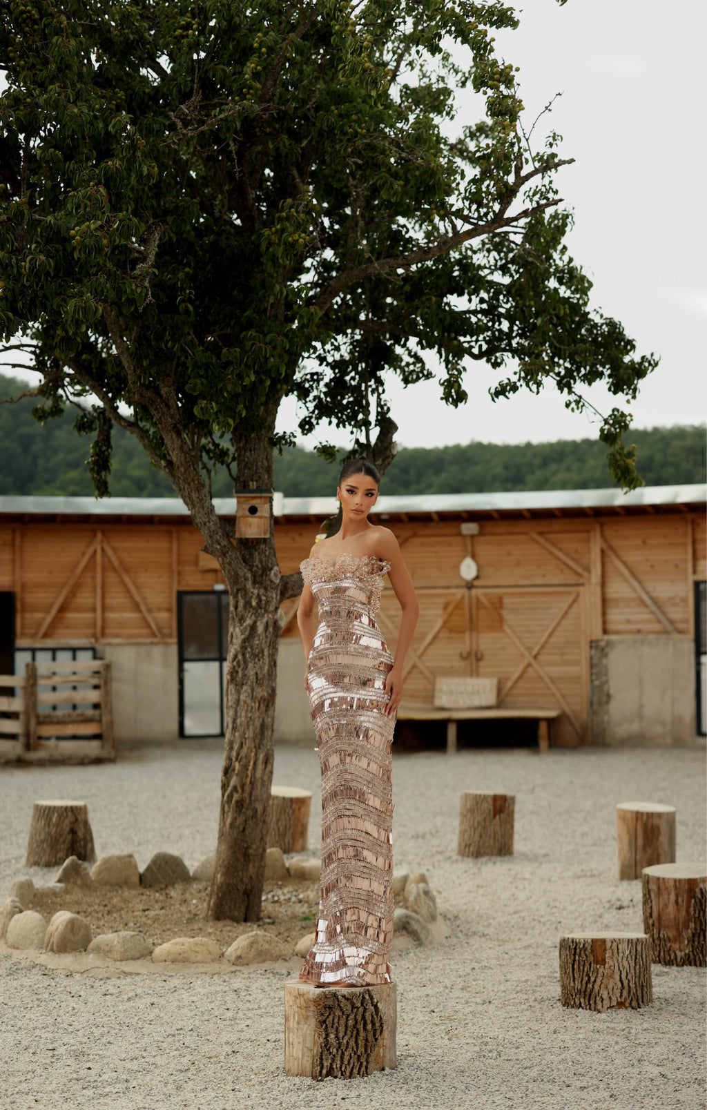 Medea - Crystal Bateau Gown