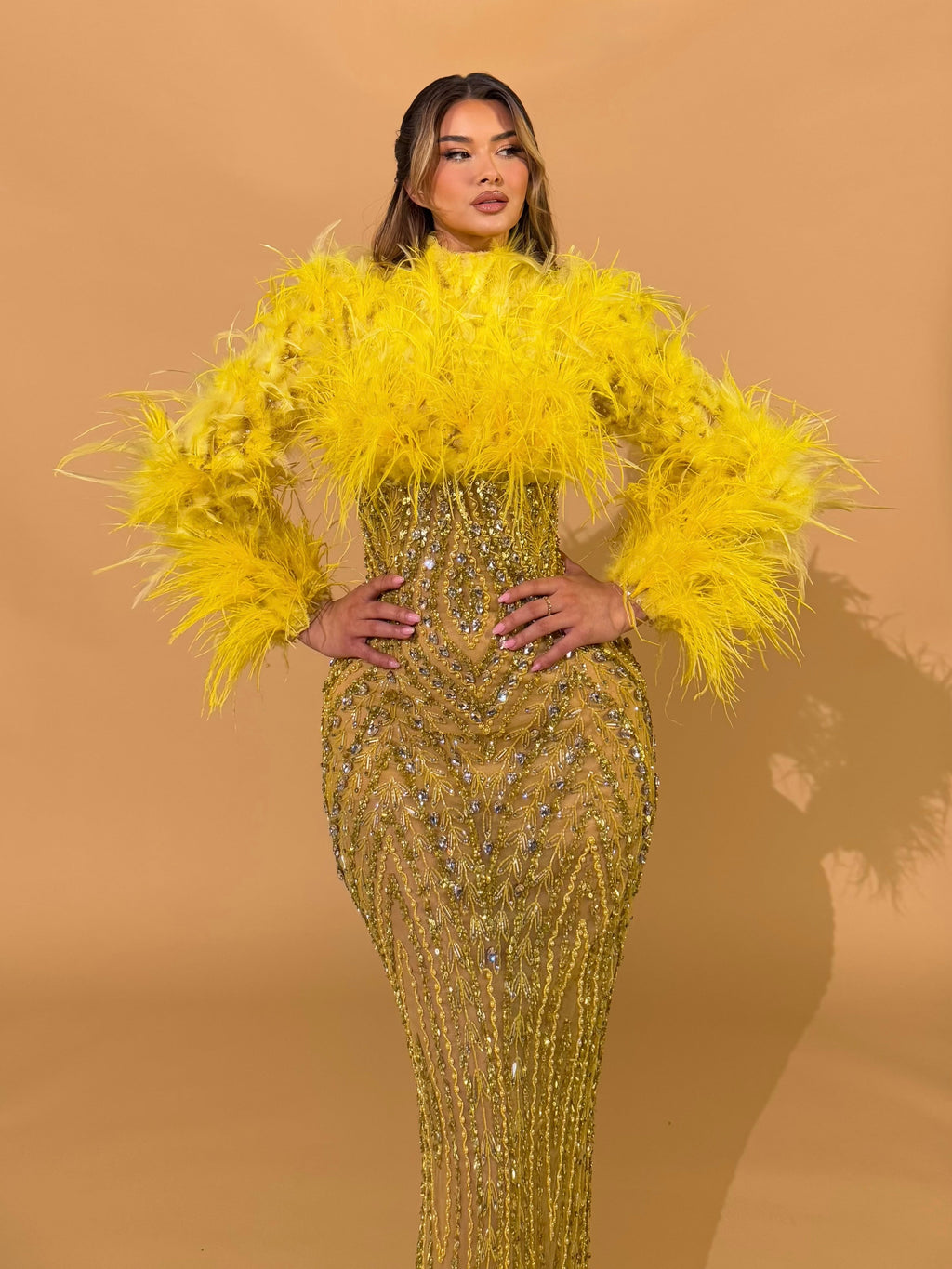 High Neck Feathered Crystal Gown