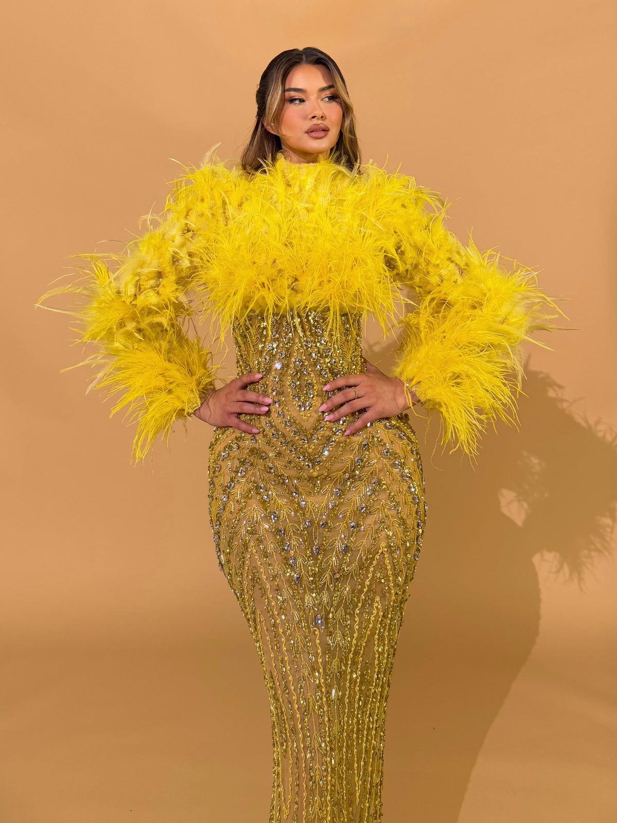 High Neck Feathered Crystal Gown