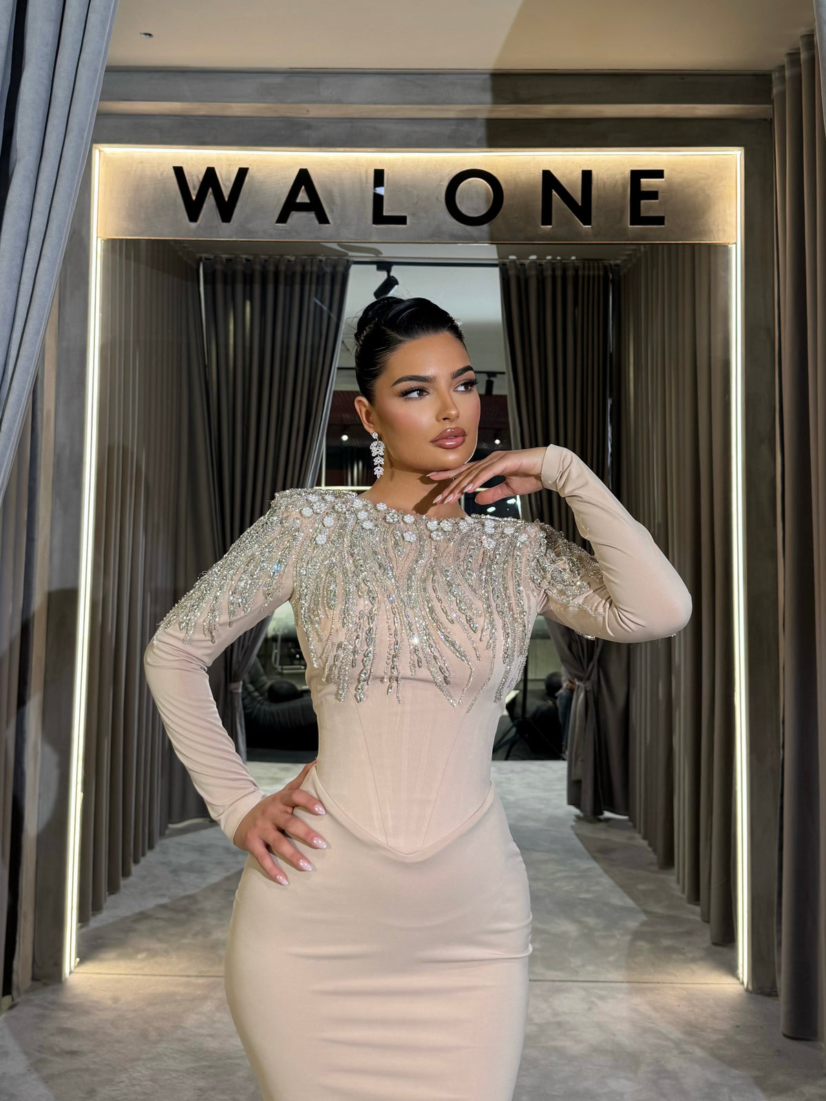 Full Sleeve Gown with Beaded Fringes