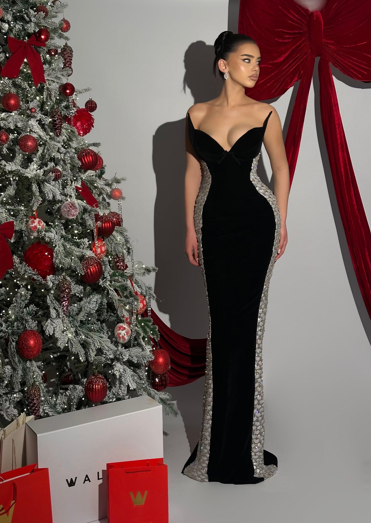 Noemie - Crystal Trimmed Black Gown