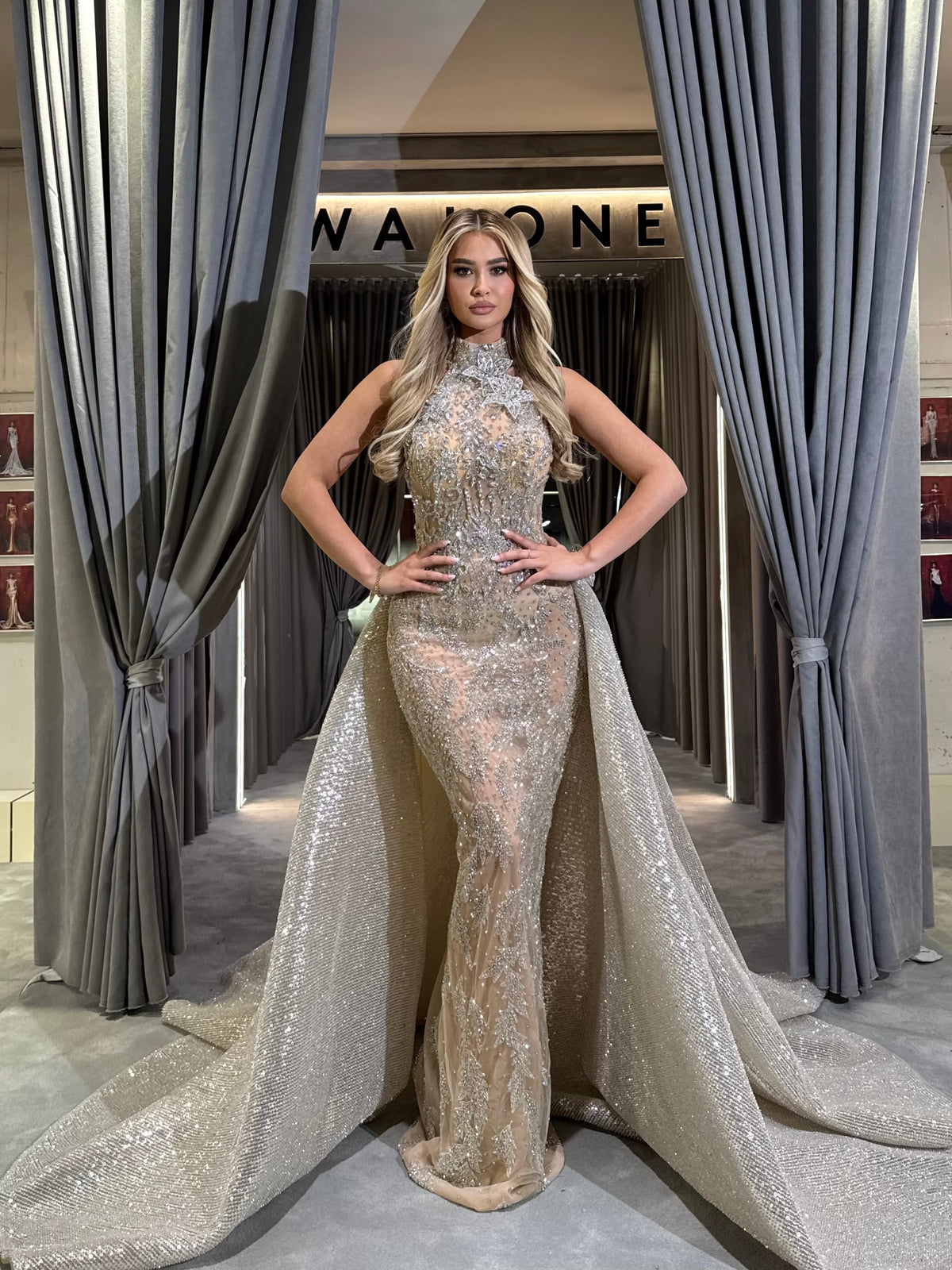 Silver Gown with Detachable Overskirt