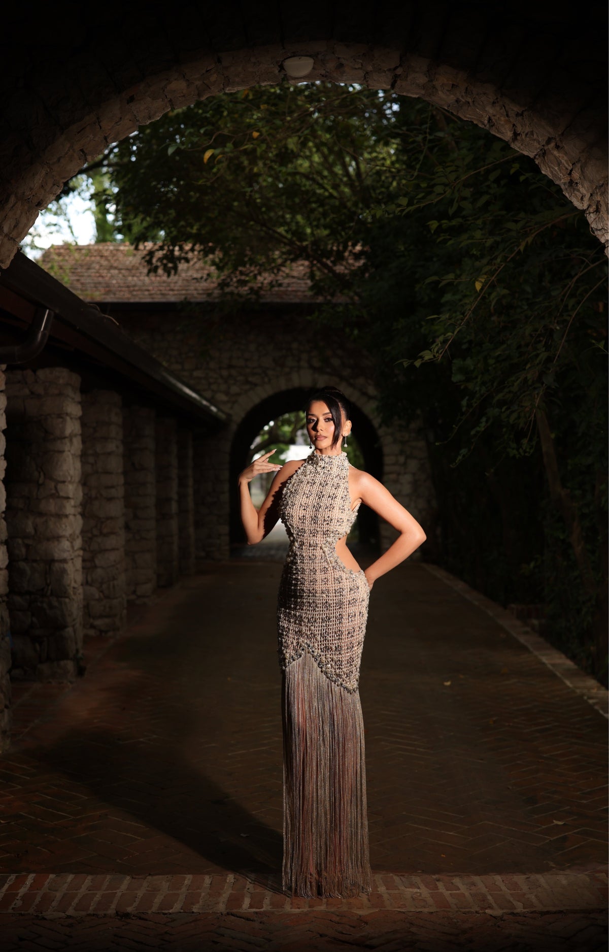 Armela - Crystal Fringe Backless Gown