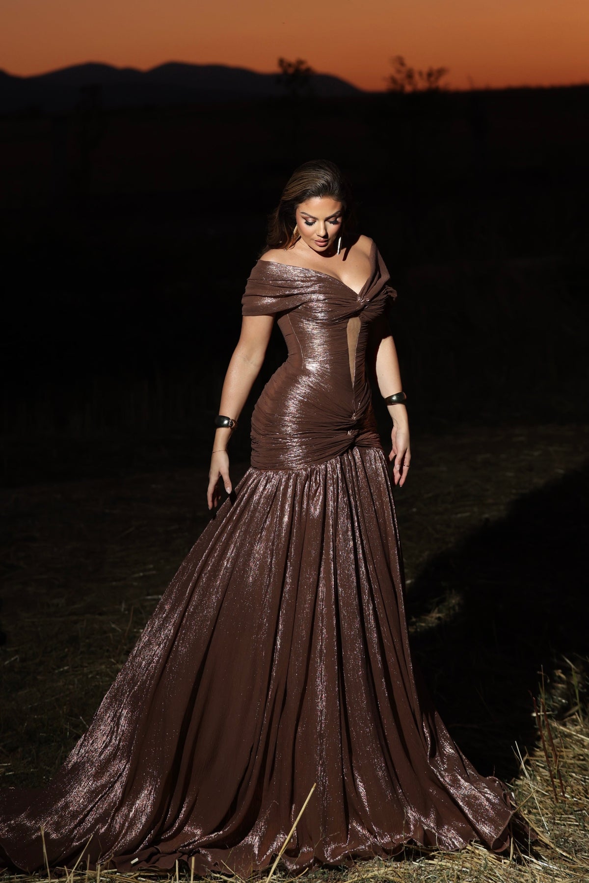 Lorena – Off the Shoulder Bronze Gown