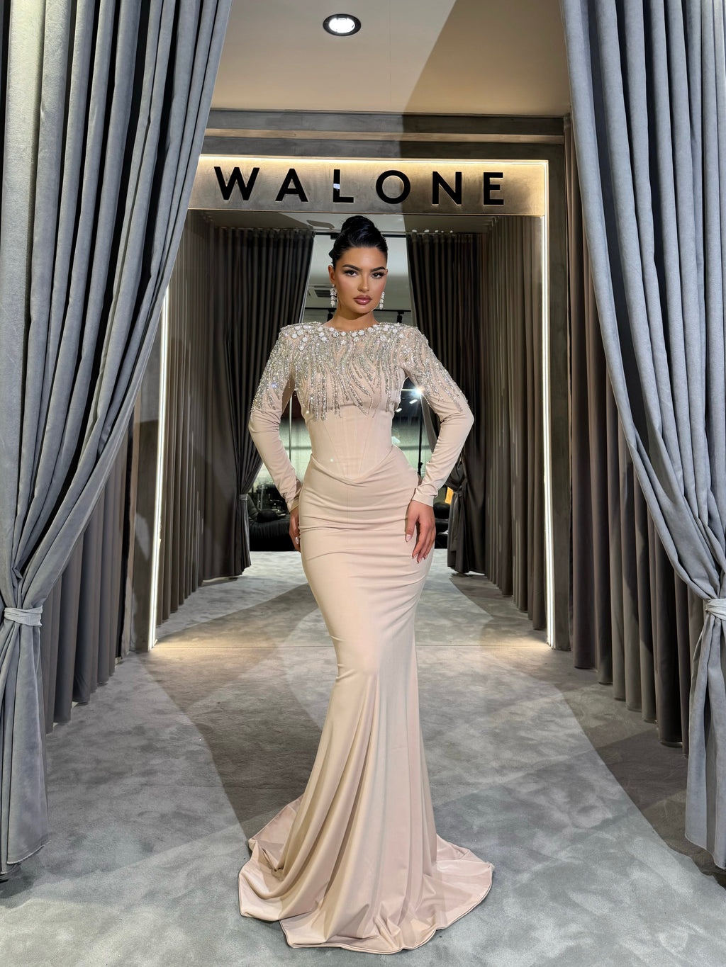 Full Sleeve Gown with Beaded Fringes