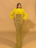 High Neck Feathered Crystal Gown
