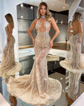 Halter Neck Evening Dress
