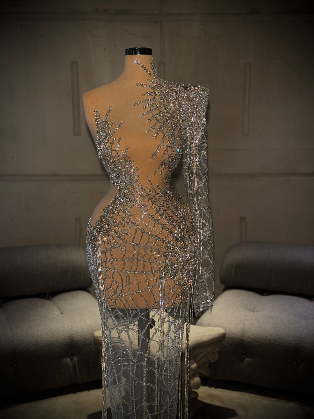 Anuata - Silver mesh gown