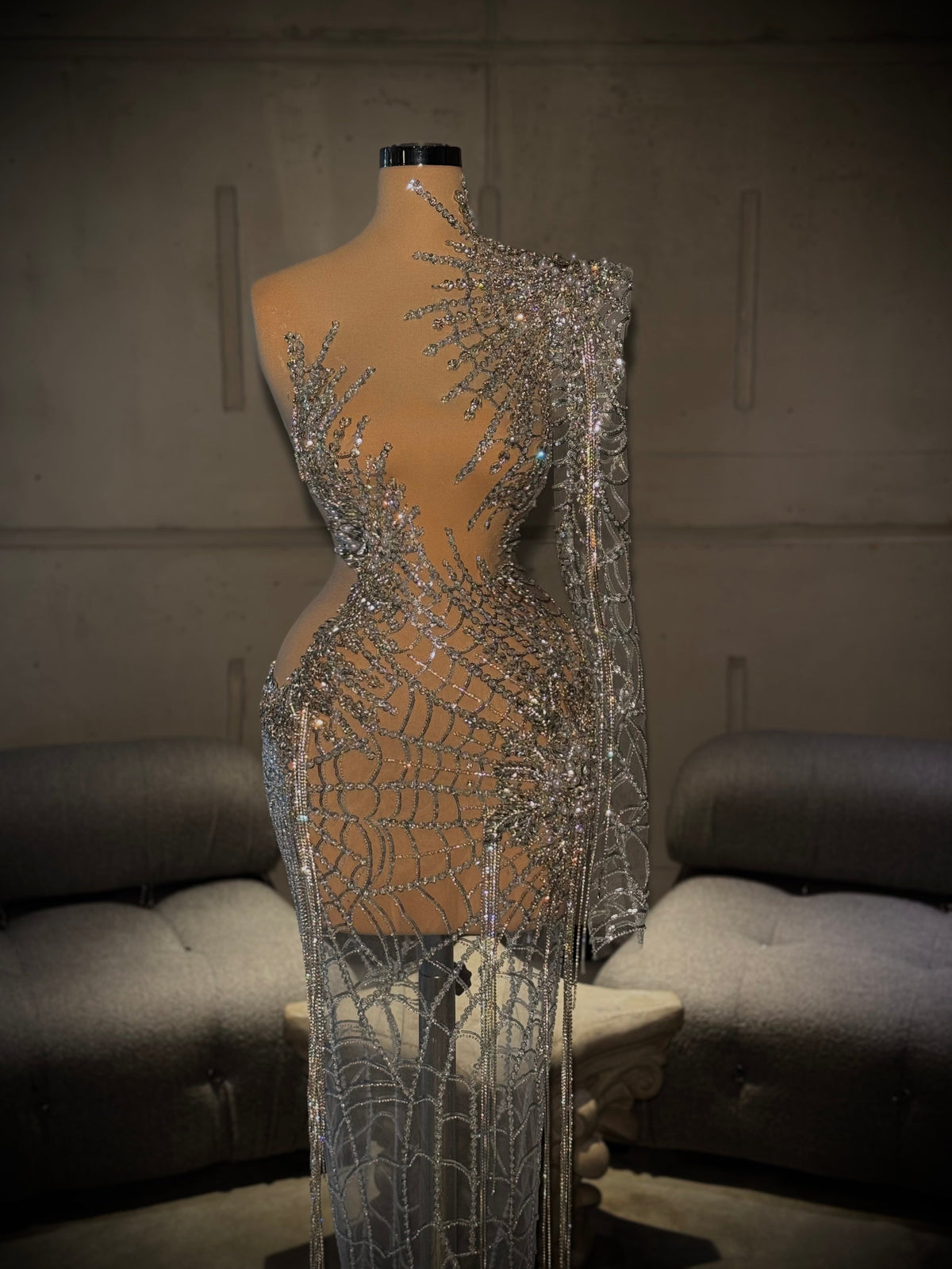 Anuata - Silver mesh gown