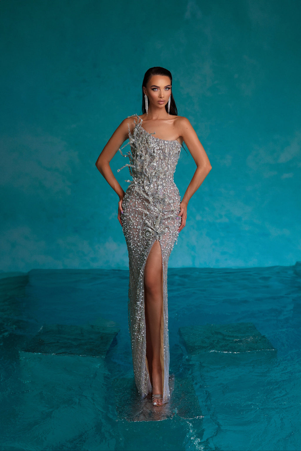Silver Rhinestones Dress with 3D Details