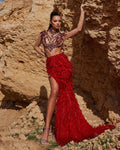 Two-Piece Red Feather Dress