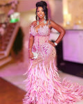 Juju Castaneda-Mermaid Feathered Pink Dress